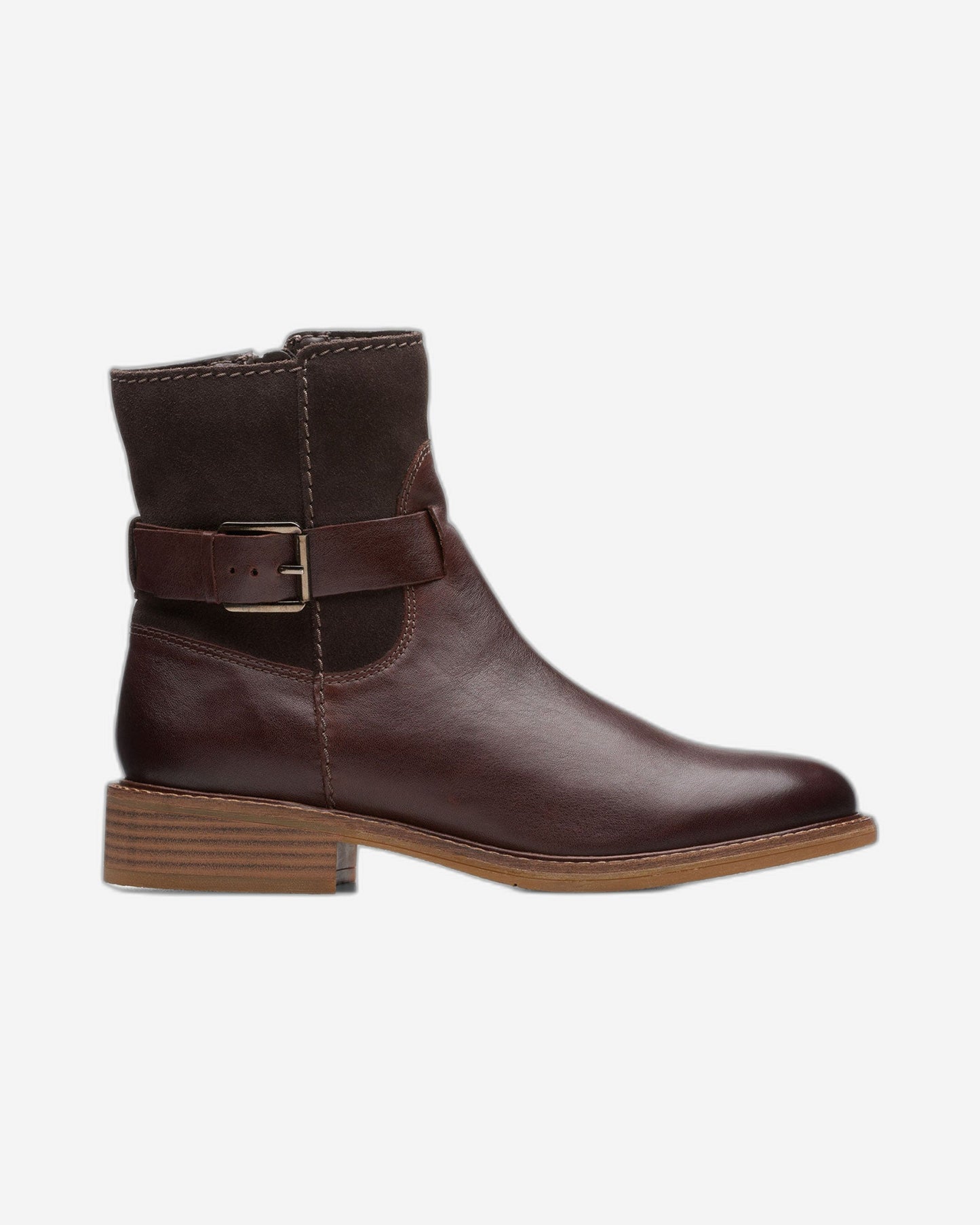 Clarks Cologne Strap (مقاس عادي)