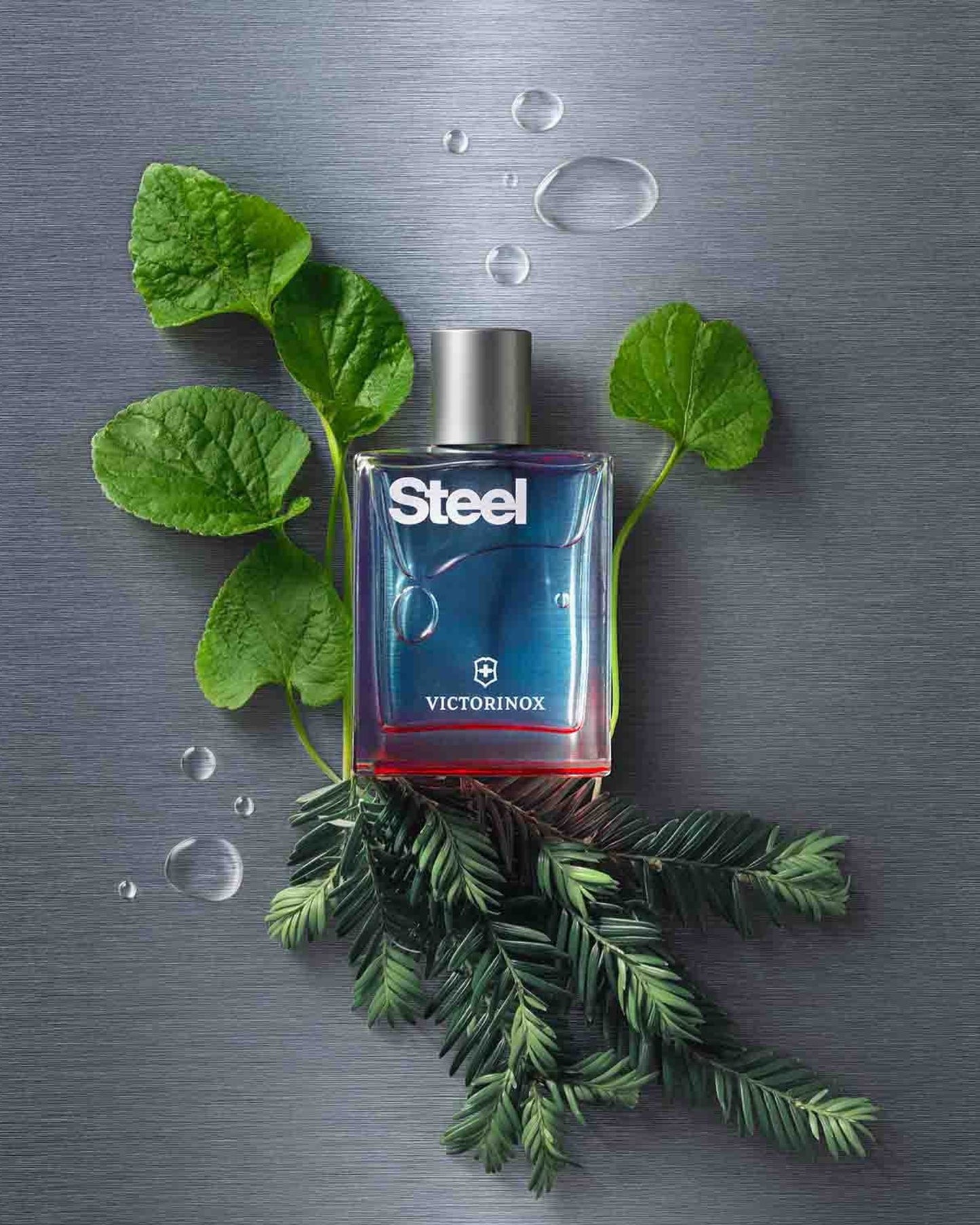 Victorinox Steel For Him ماء تواليت 100 مل