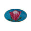 Africa Design4 Oval Plate 24Cm - 04Alm005832
