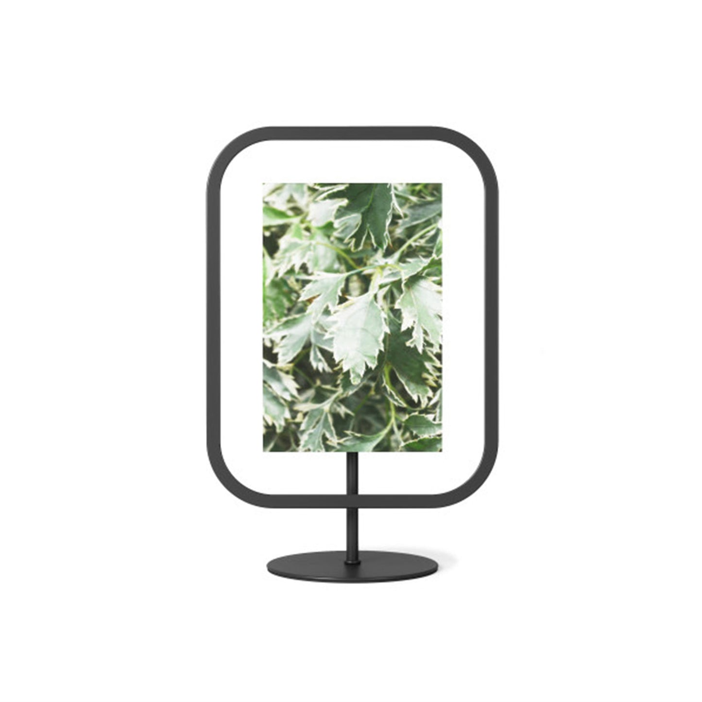 UMBRA INFINITY SQROUND PICTURE FRAME 4X6 BLACK - 1012269-040