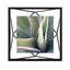 إطار صورة أومبرا بريزما 4×4 أسود - 313017-040