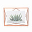 إطار صورة أومبرا بريزما نحاسي مقاس 4×6 - 313016-880