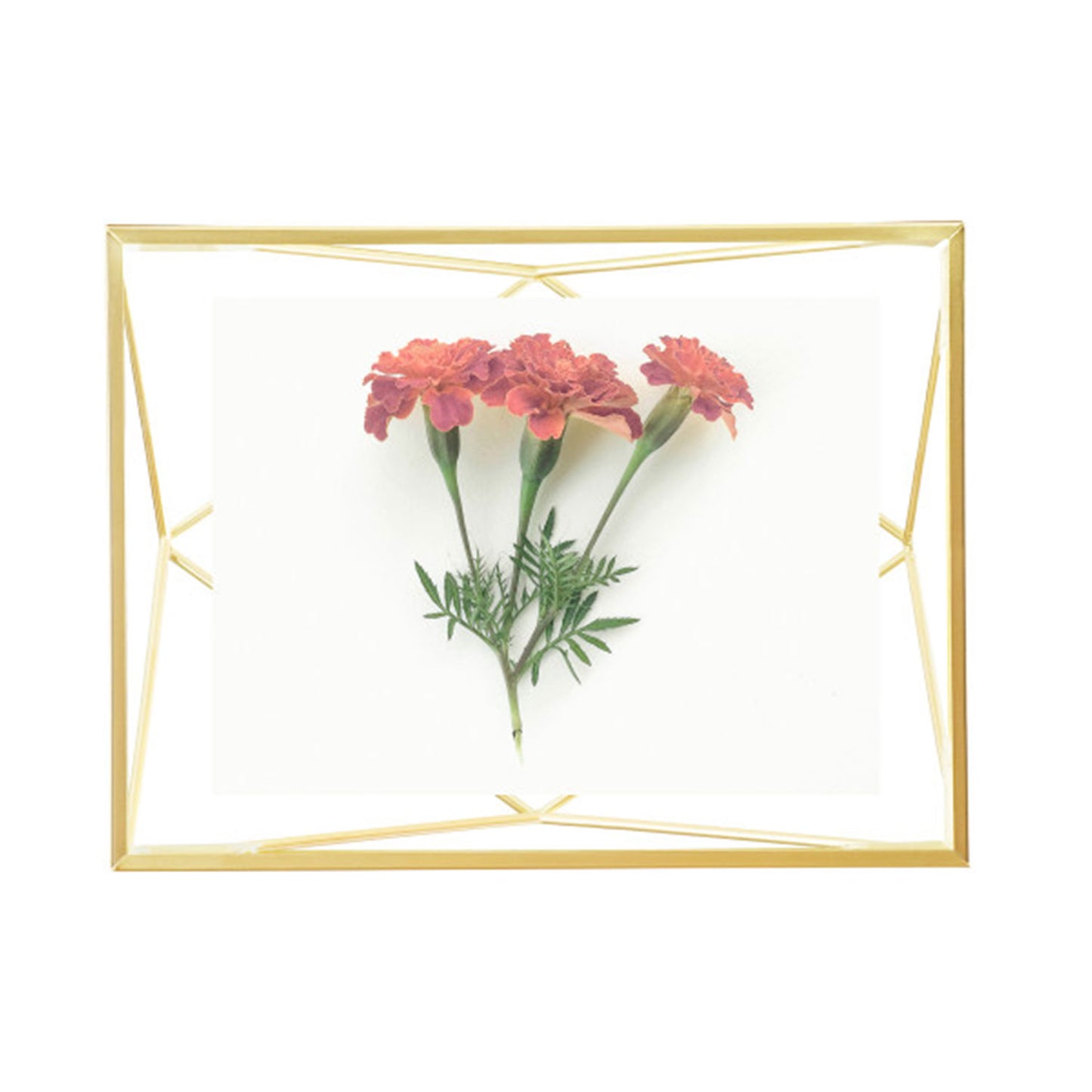 UMBRA PRISMA PICTURE FRAME 4X6  MATT BRASS - 313016-221