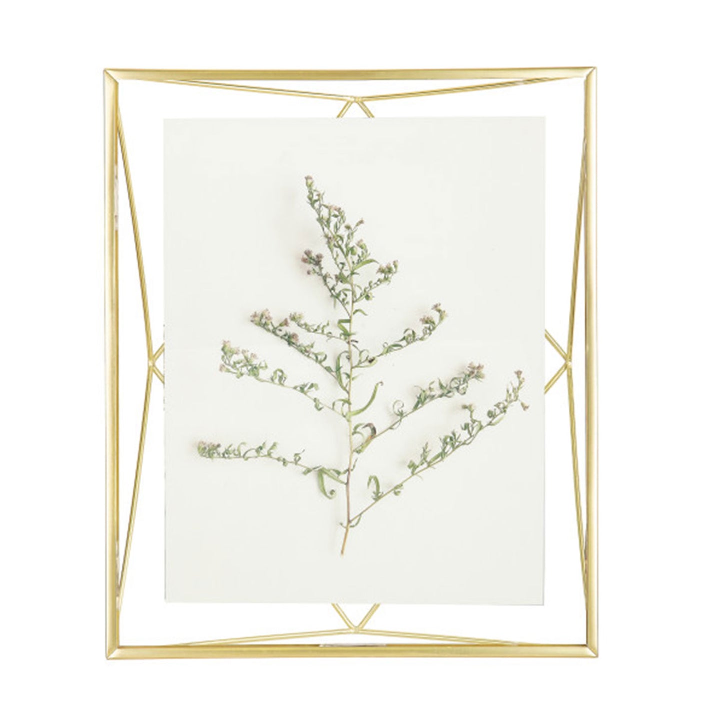 UMBRA PRISMA PICTURE FRAME 8X10 MATT BRAS - 313018-221